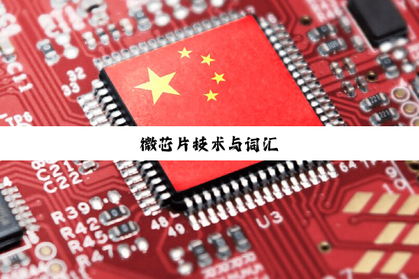 微芯片技术与词汇