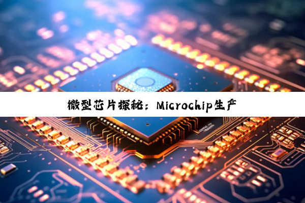 微型芯片探秘：Microchip生产年份识别、型号概览与技术生态深度解析