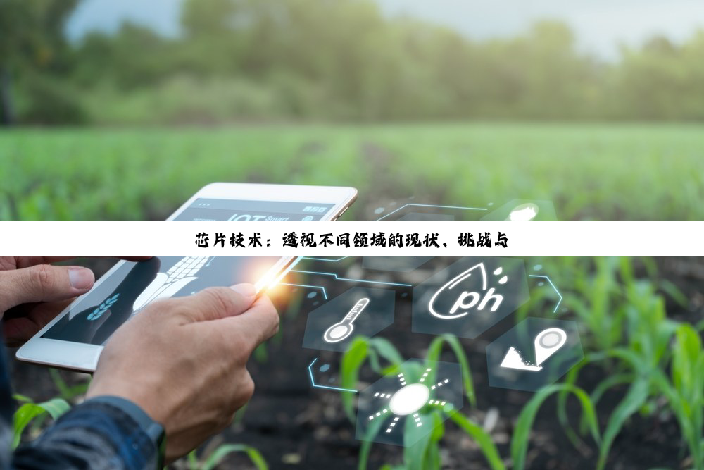 芯片技术：透视不同领域的现状、挑战与未来趋势