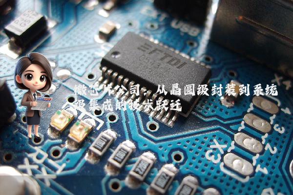 微芯片公司：从晶圆级封装到系统级集成的技术跃迁