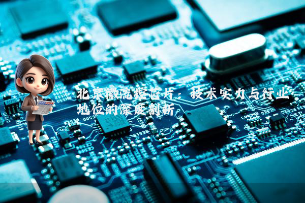 北京微流控芯片：技术实力与行业地位的深度剖析